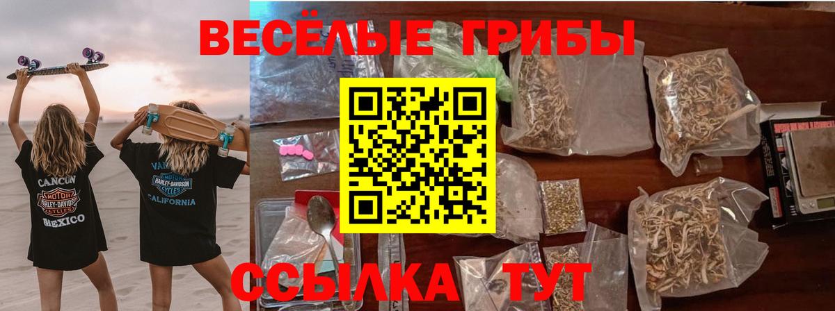 Галлюциногенные грибы прущие грибы  Вход с VPN  Сорочинск  Галлюциногенные грибы прущие грибы 